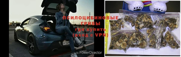 МДПВ Верея
