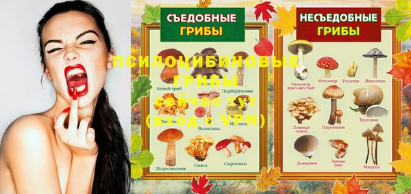 ешки Верхний Тагил